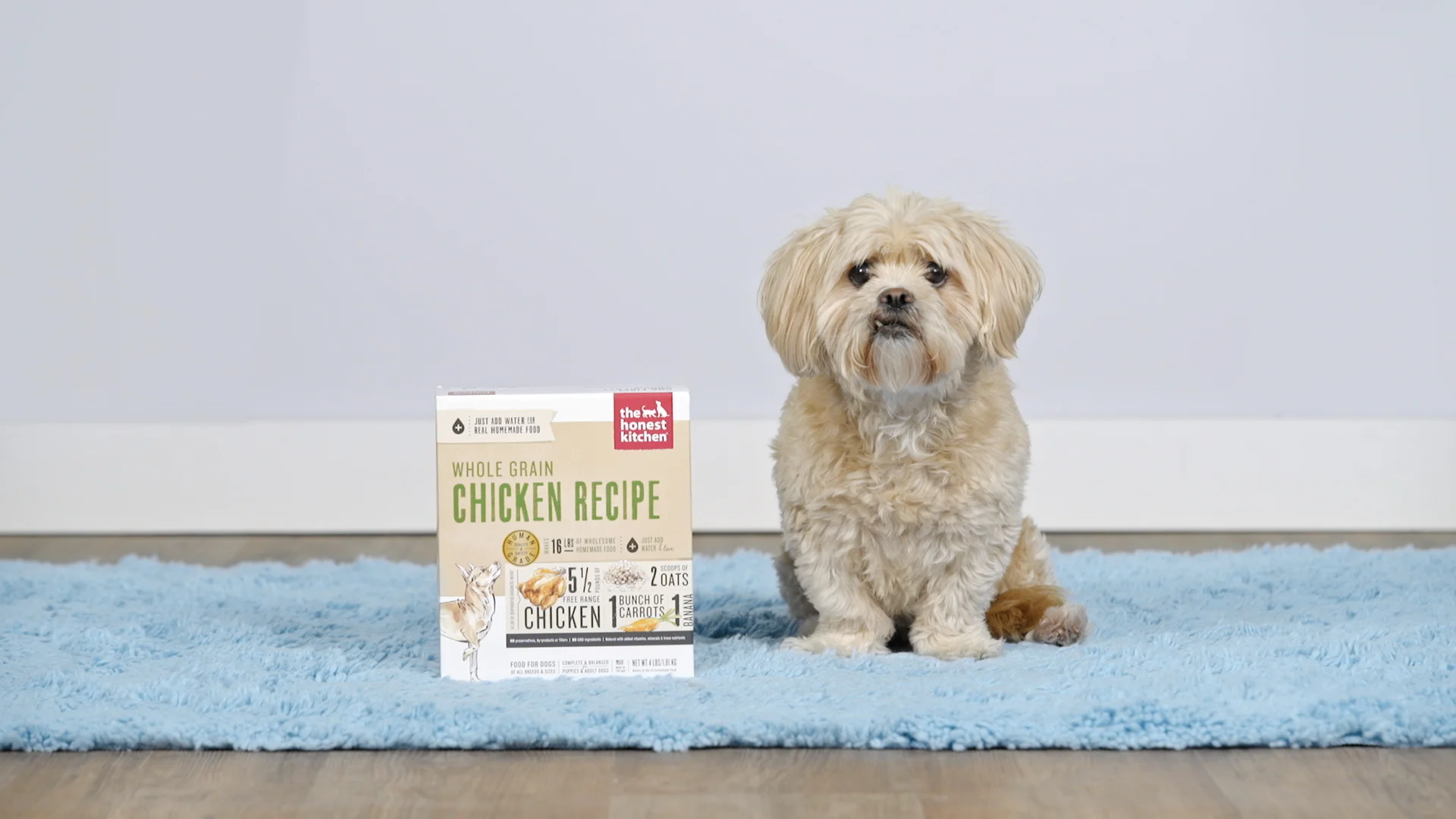 call chewy dog food