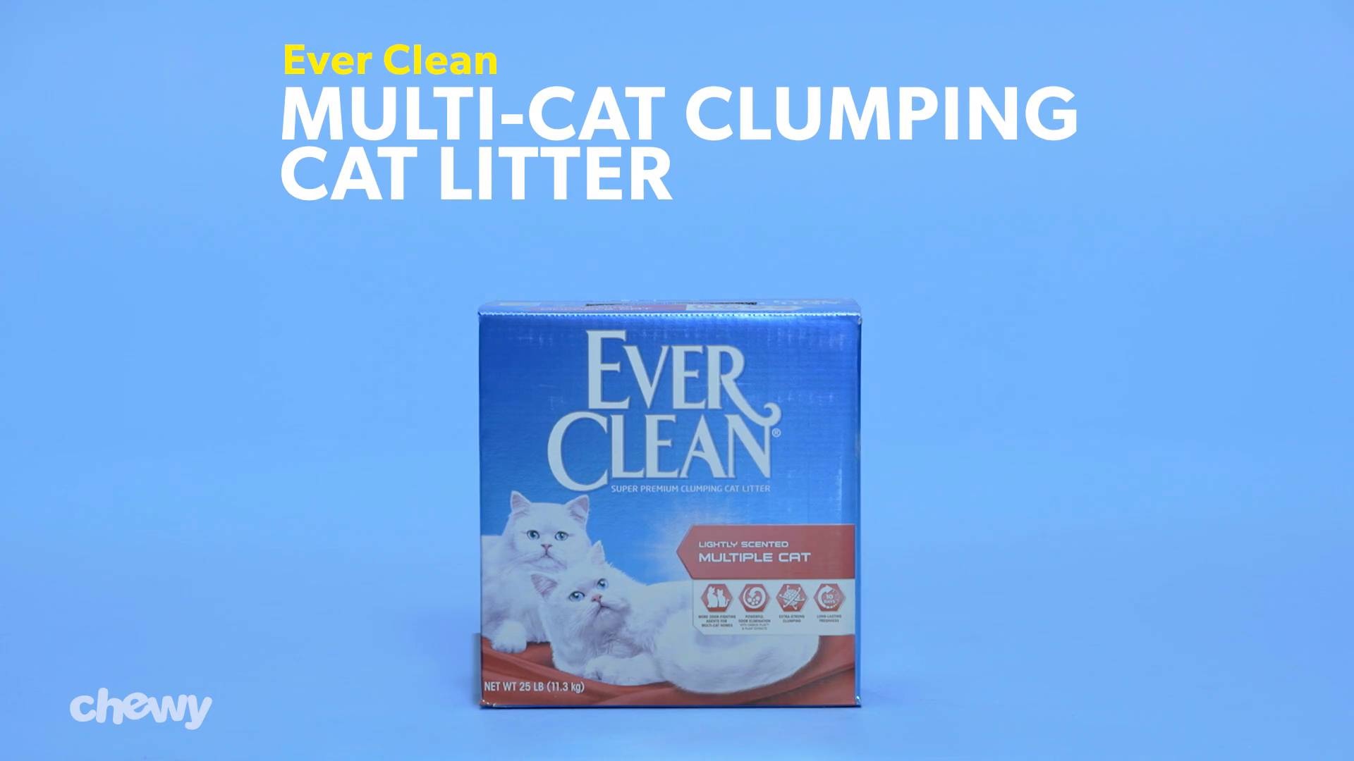 everclean multicat