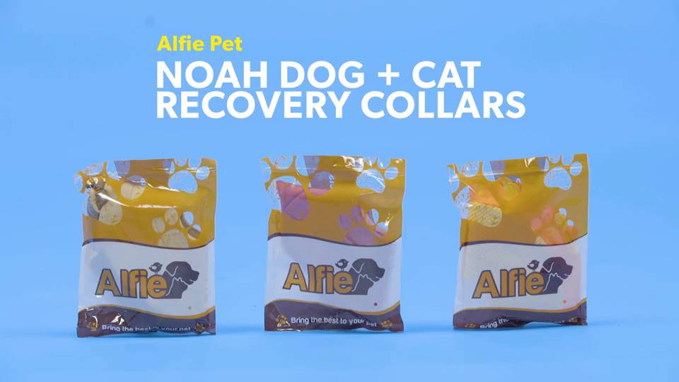 alfie pet collar