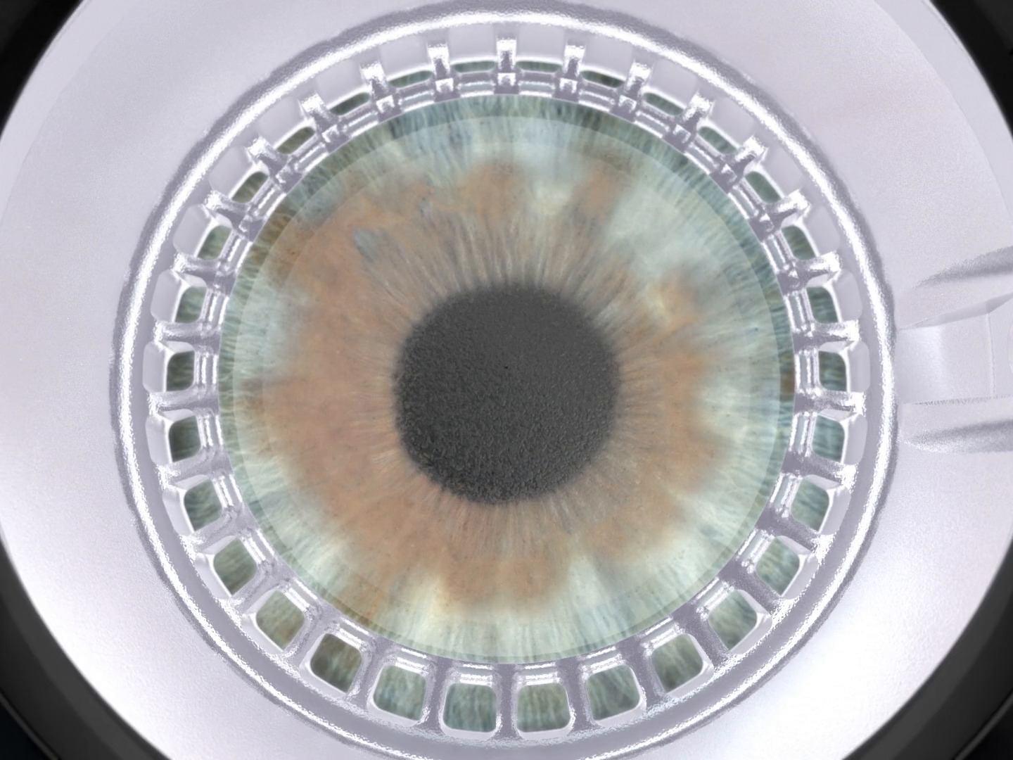 ZEISS VISUMAX 800 Medilex