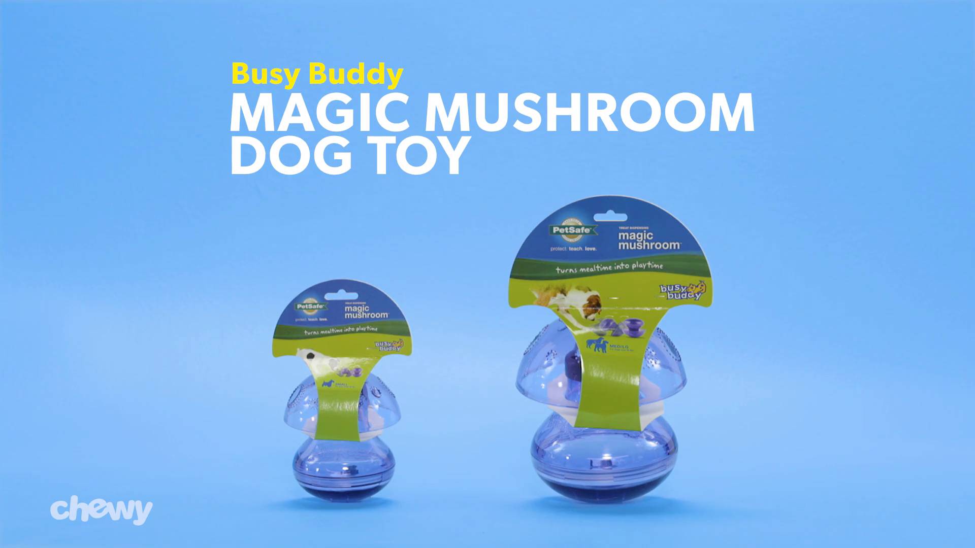 busy buddy mushroom