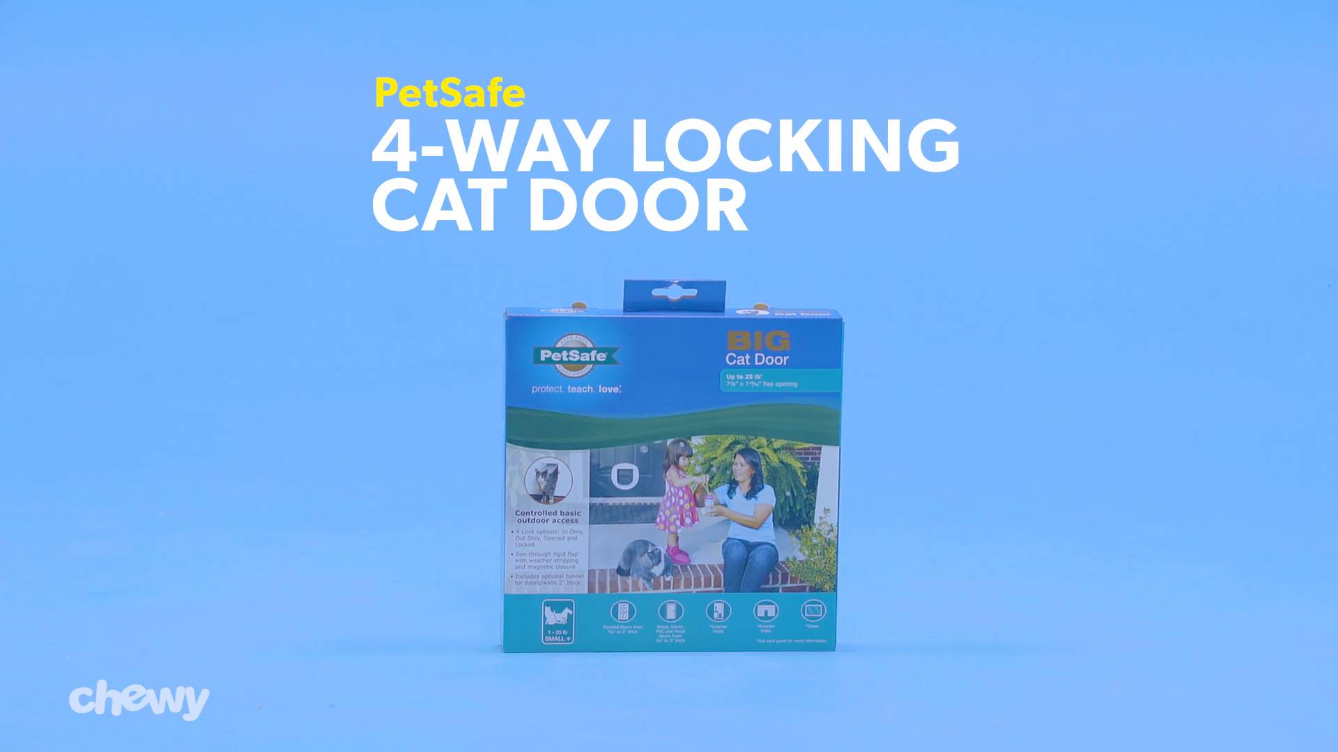 chewy cat door