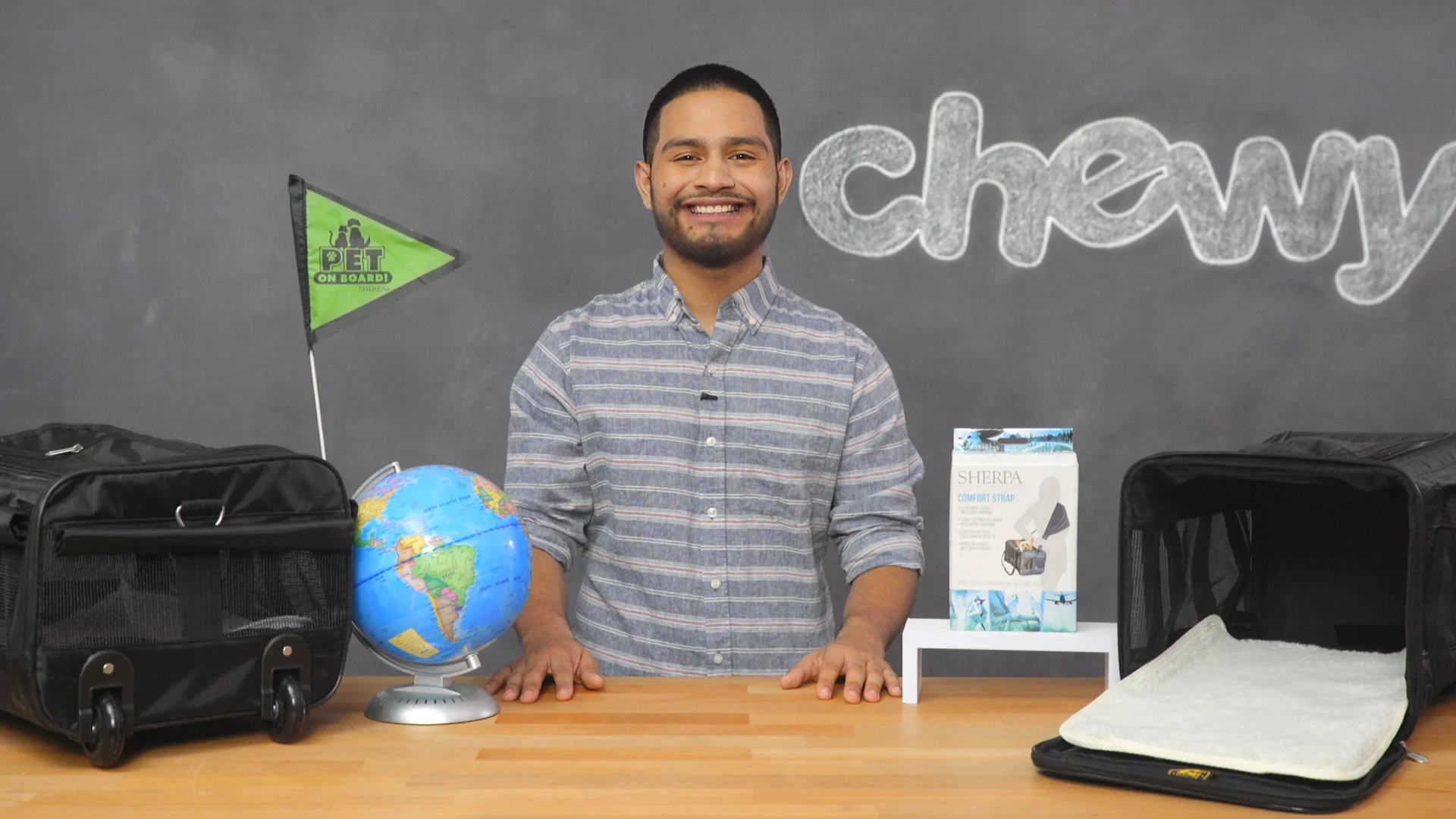 delta approved cat carrier