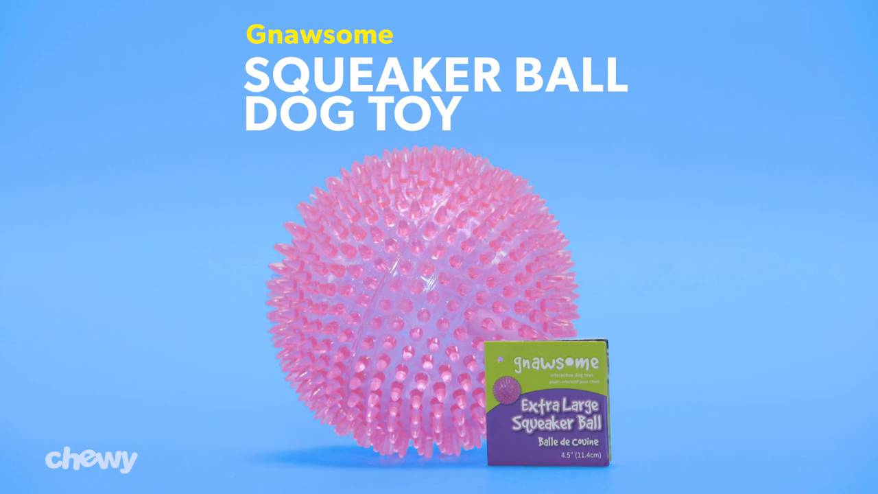 gnawsome squeaker ball dog toy