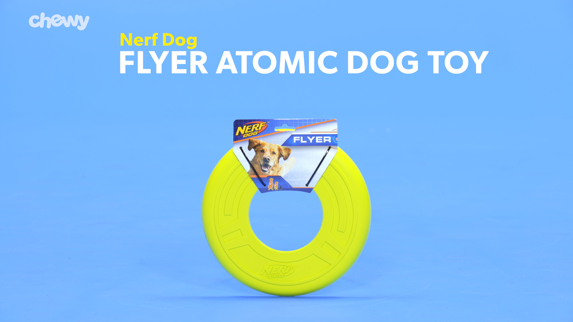 nerf atomic flyer