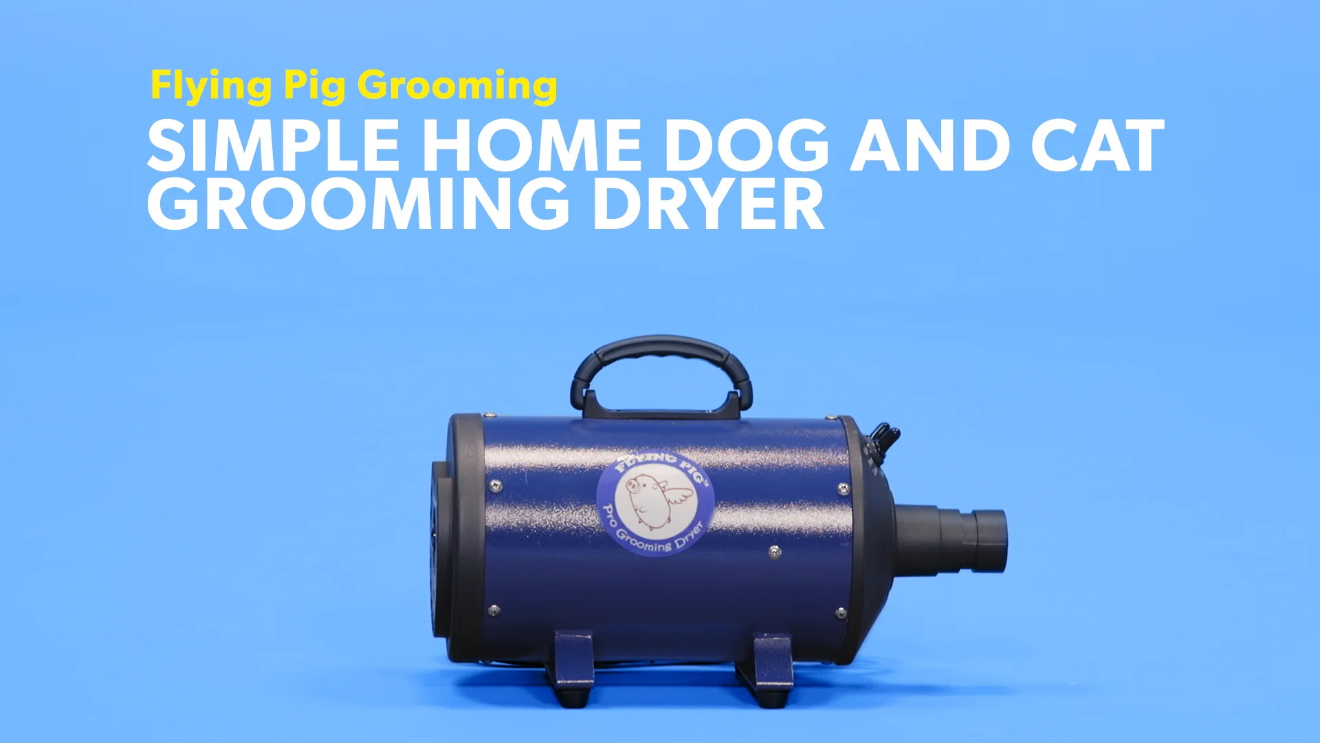 flying pig grooming dryer