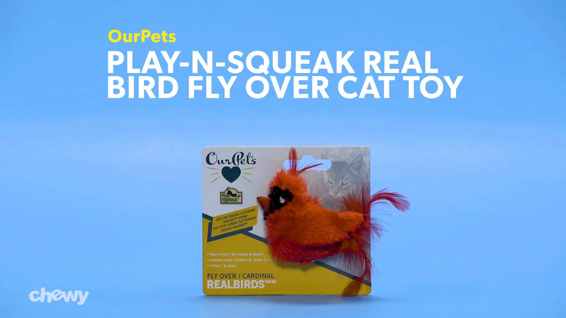 squeaky bird cat toy