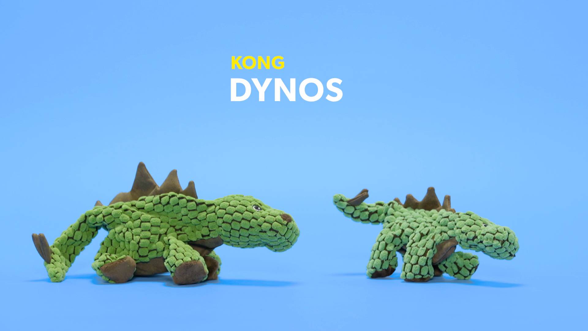 kong dynos pterodactyl