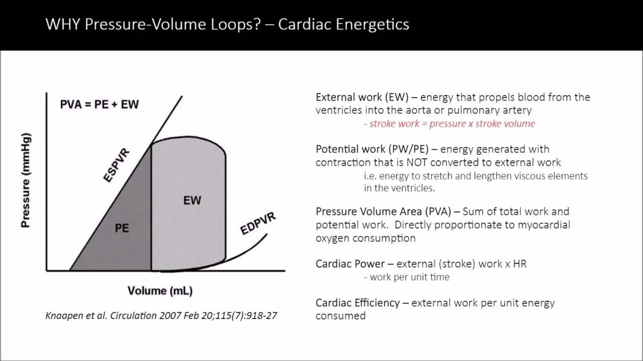 Pressure Volume Loop Relationships Adam Goodwill Adinstruments