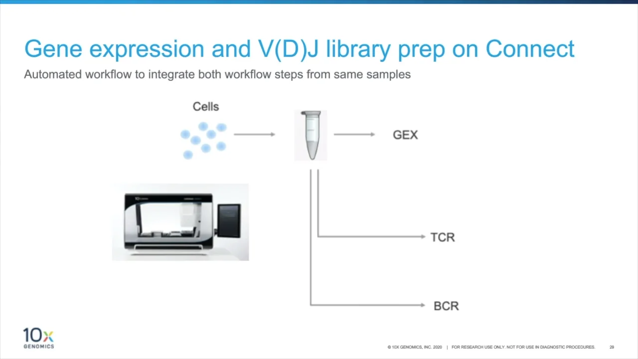 シングルセル免疫プロファイリング 10x Genomics