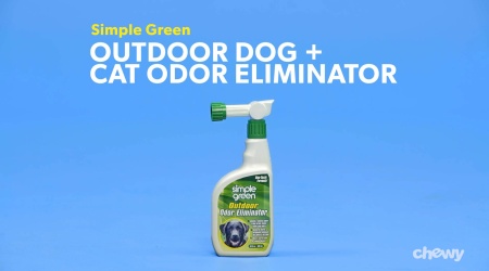 Outdoor Dog Cat Odor Eliminator, Outdoor Urine Odor Removal