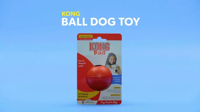 Kong Ball Dog Toy Chewy Free Shipping