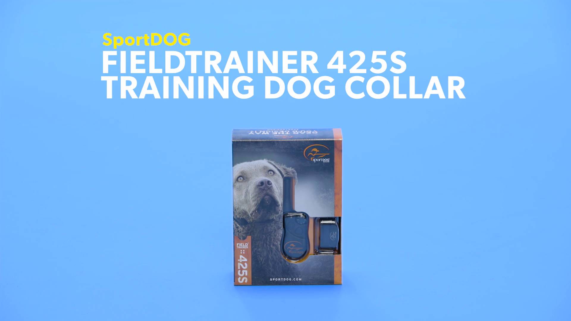 sportdog 425 training video