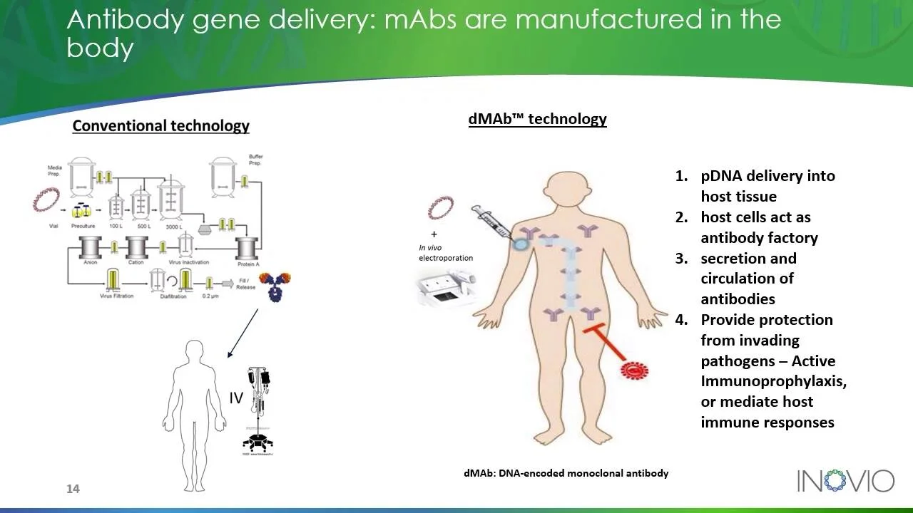 Monoclonal Antibody Discovery And Development Sartorius