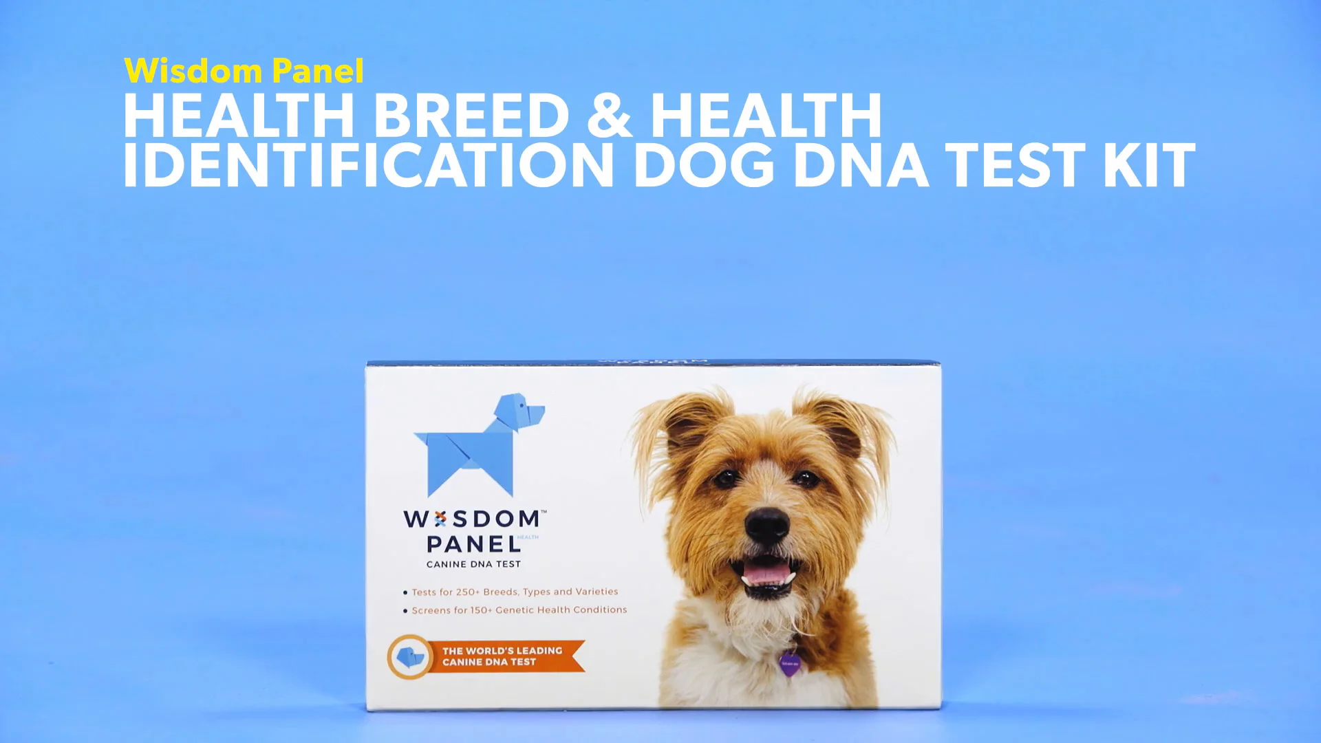 wisdom panel health breed & health identification dog dna test kit