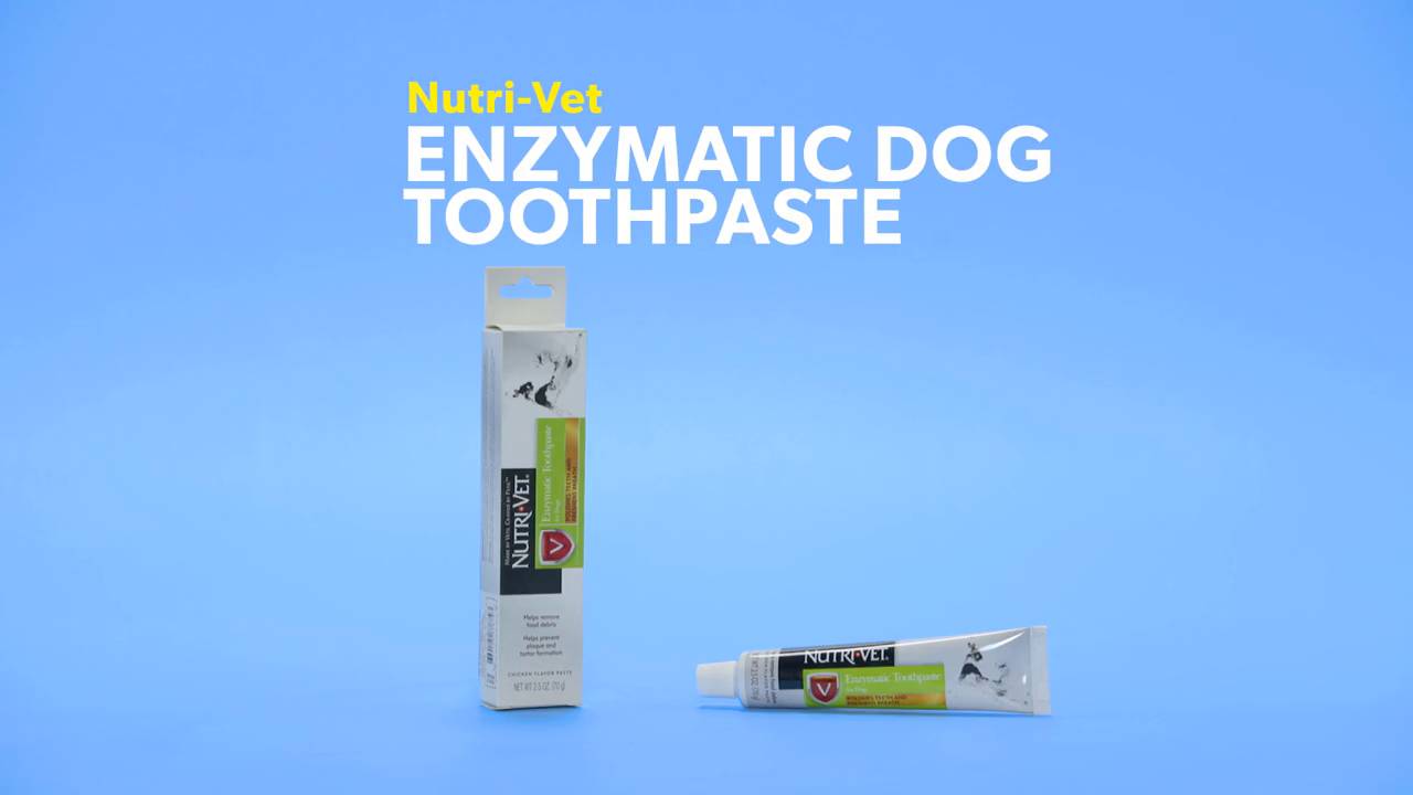 nutri vet enzymatic toothpaste