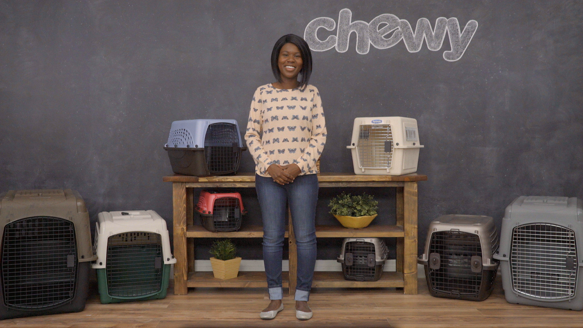 petmate two door top load dog kennel