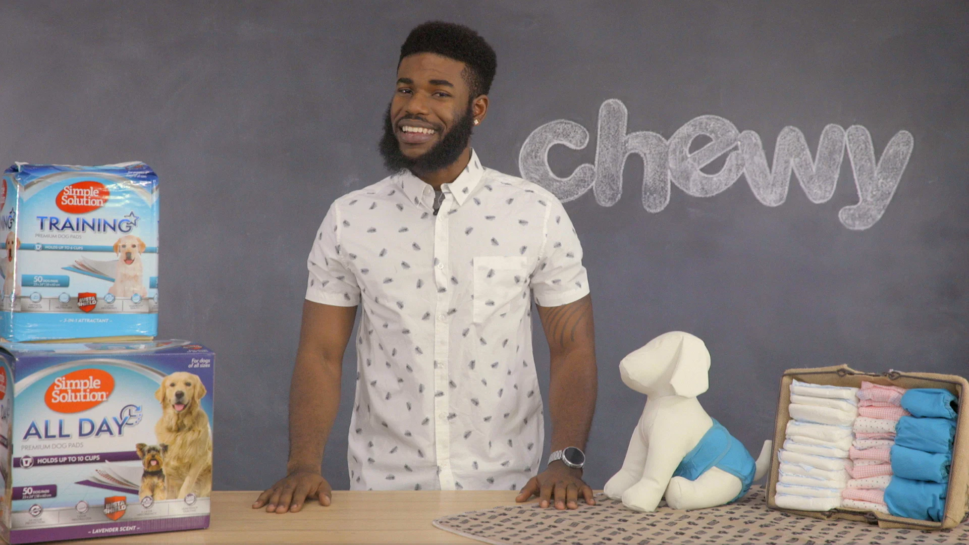 simple solution potty training aid