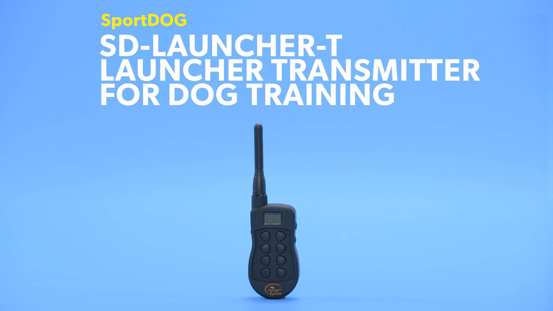 sportdog training video